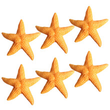6Pièces Magnet Résine Étoile De Décor Original