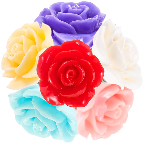 6Pièces Porte- Plastique DIY Accessoires Colorés