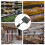 6Pièces Tableaux Prix PVC Effaçables Pour Rayons Supermarché 3