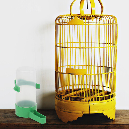 1Ensemble Abreuvoir Vert Pour Oiseaux Polyvalent En Durable 2