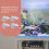 4Pièces Fixations Couvercle Aquarium Acier Inoxydable Argent Élégant 3