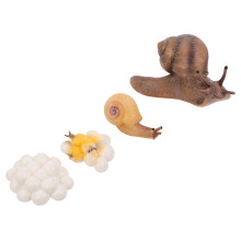 4St Kleurrijk Slak Cyclus Ornamenten Decoraties Voor Kinderen