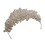 Tiara Di Bianca Accessorio 2