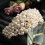 Tiara Di Bianca Accessorio 3