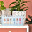 Cornici 12 Mesi Per Foto , Materiale E PVC 6