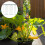 10Pz Supporti in ABS Per Orchidee E Piante, Da Interno Verdi 10