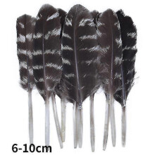 (6-10cm, 100Pcs) Natural Peacock Pheasant Feathers Small Eagle Chicken Plumes Ostrich Decor Diy Handicraft Accessories Jewelry Creation - Pjun