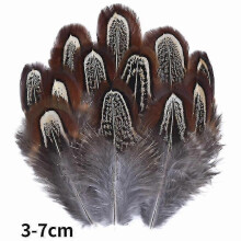 (3-7cm1, 100Pcs) Natural Peacock Pheasant Feathers Small Eagle Chicken Plumes Ostrich Decor Diy Handicraft Accessories Jewelry Creation - Pjun