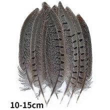(10-15cm19, 20Pcs) Natural Peacock Pheasant Feathers Small Eagle Chicken Plumes Ostrich Decor Diy Handicraft Accessories Jewelry Creation - Pjun