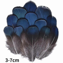 (3-7cm11, 20Pcs) Natural Peacock Pheasant Feathers Small Eagle Chicken Plumes Ostrich Decor Diy Handicraft Accessories Jewelry Creation - Pjun