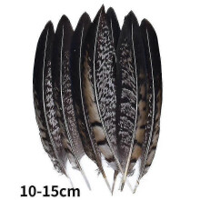 (10-15cm22, 20Pcs) Natural Peacock Pheasant Feathers Small Eagle Chicken Plumes Ostrich Decor Diy Handicraft Accessories Jewelry Creation - Pjun