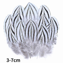 (3-7cm8, 100Pcs) Natural Peacock Pheasant Feathers Small Eagle Chicken Plumes Ostrich Decor Diy Handicraft Accessories Jewelry Creation - Pjun