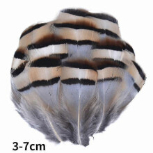 (3-7cm10, 100Pcs) Natural Peacock Pheasant Feathers Small Eagle Chicken Plumes Ostrich Decor Diy Handicraft Accessories Jewelry Creation - Pjun