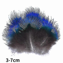 (3-7cm12, 100Pcs) Natural Peacock Pheasant Feathers Small Eagle Chicken Plumes Ostrich Decor Diy Handicraft Accessories Jewelry Creation - Pjun