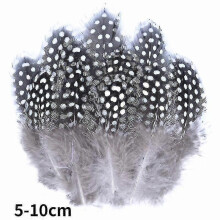 (5-10cm, 20Pcs) Natural Peacock Pheasant Feathers Small Eagle Chicken Plumes Ostrich Decor Diy Handicraft Accessories Jewelry Creation - Pjun