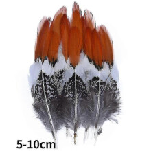 (5-10cm21, 20Pcs) Natural Peacock Pheasant Feathers Small Eagle Chicken Plumes Ostrich Decor Diy Handicraft Accessories Jewelry Creation - Pjun