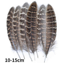 (10-15cm17, 100Pcs) Natural Peacock Pheasant Feathers Small Eagle Chicken Plumes Ostrich Decor Diy Handicraft Accessories Jewelry Creation - Pjun