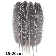 (15-20cm, 20Pcs) Natural Peacock Pheasant Feathers Small Eagle Chicken Plumes Ostrich Decor Diy Handicraft Accessories Jewelry Creation - Pjun