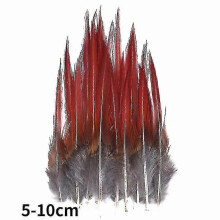 (5-10cm23, 100Pcs) Natural Peacock Pheasant Feathers Small Eagle Chicken Plumes Ostrich Decor Diy Handicraft Accessories Jewelry Creation - Pjun