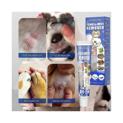 ringworm treatment for pets with anti-itch cream 1