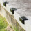 4 Solar LED Bright Deck Lights Outdoor Garden Patio Railing Decks Path Lighting 9