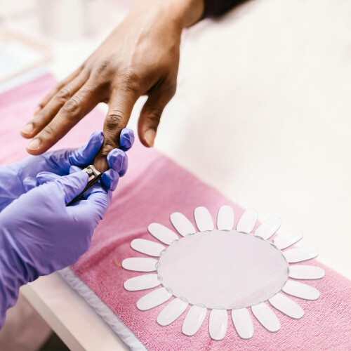 20Pz Ruota Sample Unghie Ovalata Trasparente in 20 Tips 2
