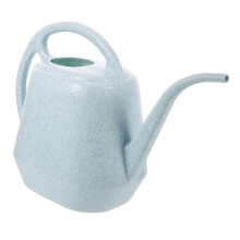 Modern Metal Watering Can with Precision Long Spout for Indoor Plants Home and Garden Use