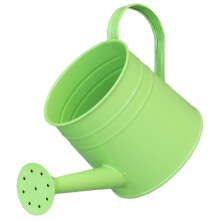 Metal Watering Can for Indoor Plants RustResistant Decorative Green Garden Tool