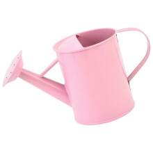 Metal Garden Watering Can Rust Resistant with Ergonomic Curved Handle for Indoor and Outdoor Plants