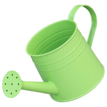 Metal Watering Can 300ml Green Iron for Indoor Plants, RustResistant Durable Painted Finish