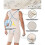 (3XL,Beige)Body Shaper For Men Slimming Compression Garment And Post Surgical Shapewear,plus Size 5