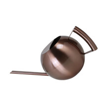 Stainless Steel Watering Can 1L Long Spout for Indoor Plants, Corrosion Resistant Bronze Ball Design