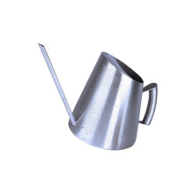 Stainless Steel Watering Can 900ml Durable Long Spout Indoor Plant Watering Can for Succulents