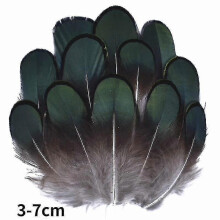 (3-7cm3, 100Pcs) Natural Peacock Pheasant Feathers Small Eagle Chicken Plumes Ostrich Decor Diy Handicraft Accessories Jewelry Creation - Pjun