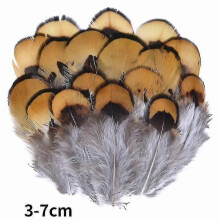 (3-7cm2, 500Pcs) Natural Peacock Pheasant Feathers Small Eagle Chicken Plumes Ostrich Decor Diy Handicraft Accessories Jewelry Creation - Pjun