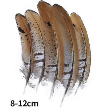 (8-12cm, 20Pcs) Natural Peacock Pheasant Feathers Small Eagle Chicken Plumes Ostrich Decor Diy Handicraft Accessories Jewelry Creation - Pjun