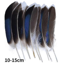 (10-15cm16, 100Pcs) Natural Peacock Pheasant Feathers Small Eagle Chicken Plumes Ostrich Decor Diy Handicraft Accessories Jewelry Creation - Pjun