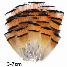 (3-7cm5, 500Pcs) Natural Peacock Pheasant Feathers Small Eagle Chicken Plumes Ostrich Decor Diy Handicraft Accessories Jewelry Creation - Pjun