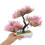 Pink Künstlicher Mini Bonsai Baum Plastik Schmuck Zuhause 5