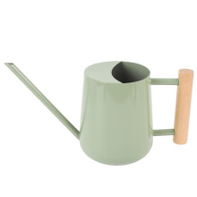 Stainless Steel Watering Can with Wooden Handle and Long Spout for Indoor Plants Bonsai Type 2