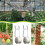 Tomato Trellis Roller Hook with 15M Twine, Durable Vine Support System for Greenhouse Vertical Growth 5