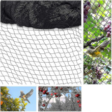15x15m Bird Protection Net with 5x5cm Mesh