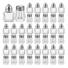 Mini Salt & Pepper Shakers Clear Seasonings Shakers Tiny Spice Shakers Transparent Seasoning Shakers