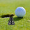 Golfballfänger Für Putter Mit Flexiblem, Langlebigem Gummigriff 9