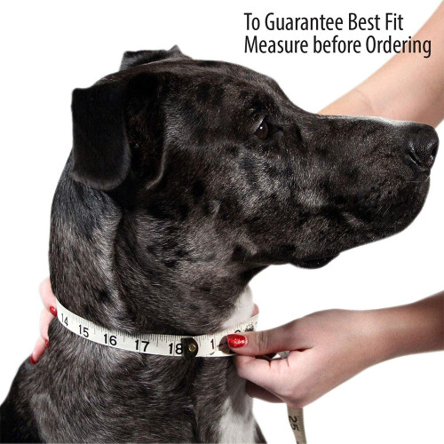 Halloween dog collar strap removable cute bow tie adjustable p 2