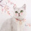 Pet Christmas Adjustable Dog Collar 4