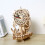 3D Wooden Puzzle Pirate  Clock Model Kit, Functional Clock DIY Educational Gift 123Pcs 4