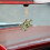 Bunter Schildkröten Auto Schmuck Hängend Legierung Deko 3