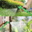 (100FT) Durable  Hose Garden Water Hose Pipe Spray Gun 8