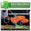 Aquarium Kunststoff Resin Bunt 4